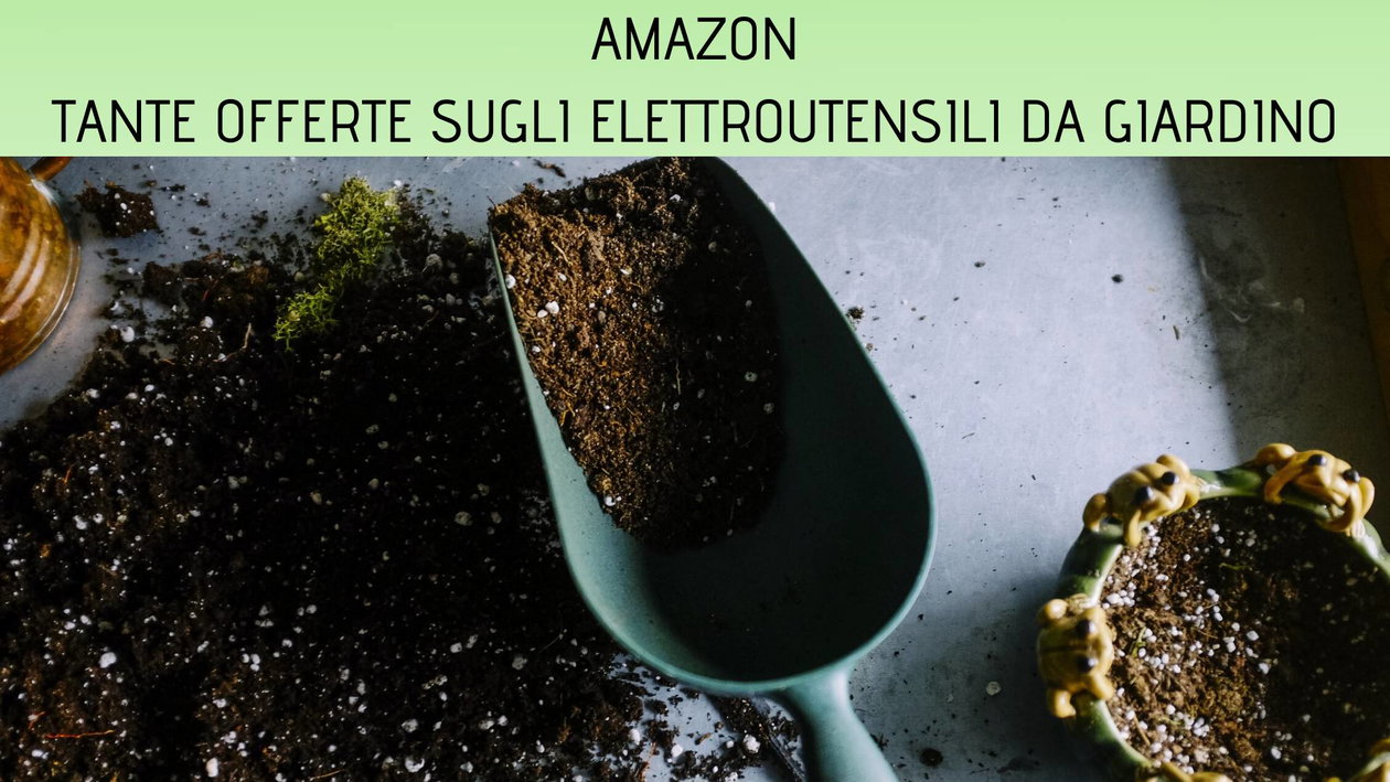 Immagine di Tagliasiepi, tosaerba e non solo tra le offerte Amazon per la cura del giardino