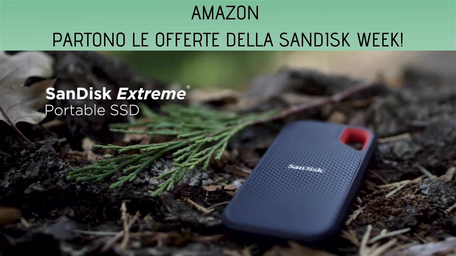 Immagine di Partono le offerte della Sandisk Week su Amazon: tanti sconti su SSD, HDD e non solo!