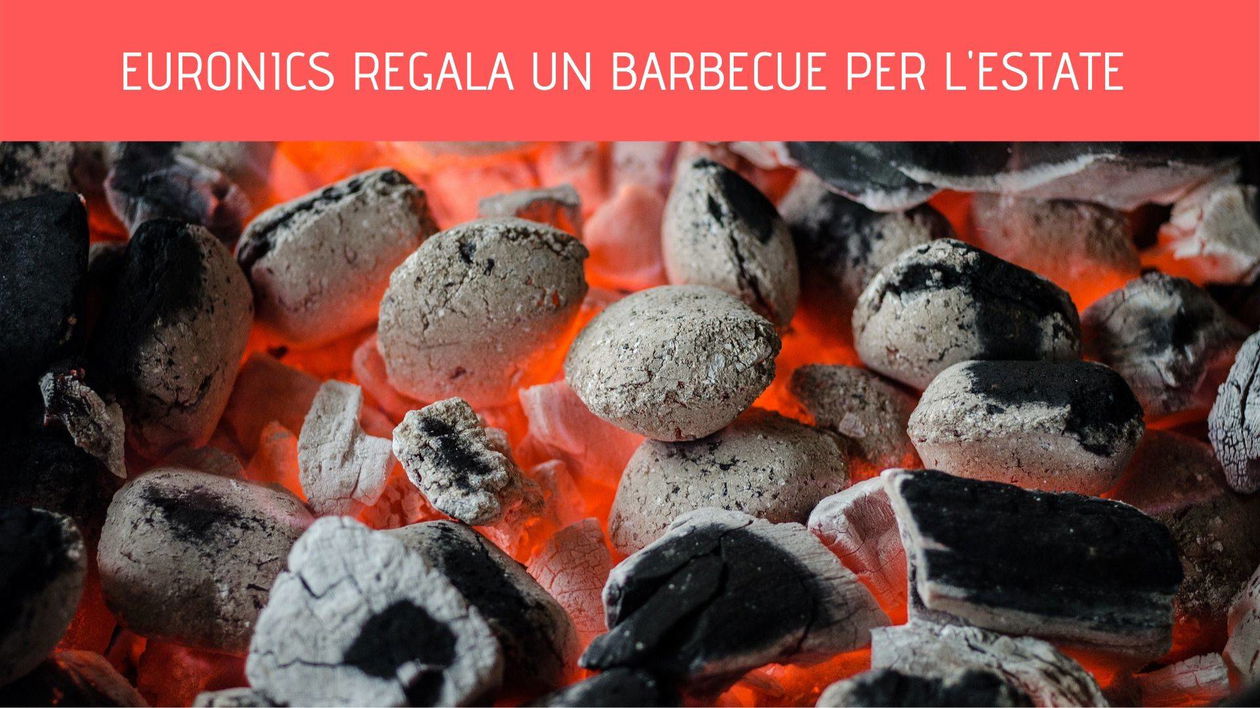 Immagine di Un'estate all'insegna delle grigliate! Euronics regala un Barbecue