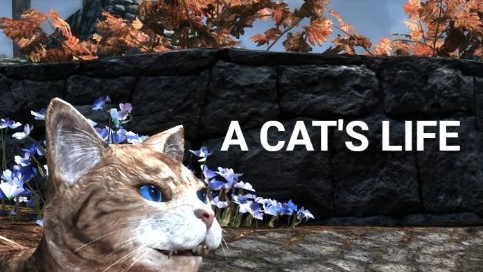 Immagine di Skyrim e gatti, lo strano connubio è realtà con una mod