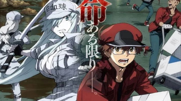 Immagine di Cells at Work! Black - il trailer dell'anime