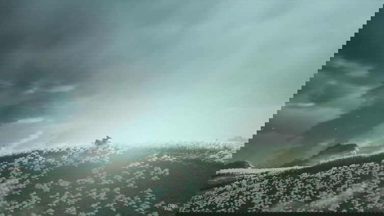 Immagine di Virtual Photography, quando la fotografia incontra il videogioco