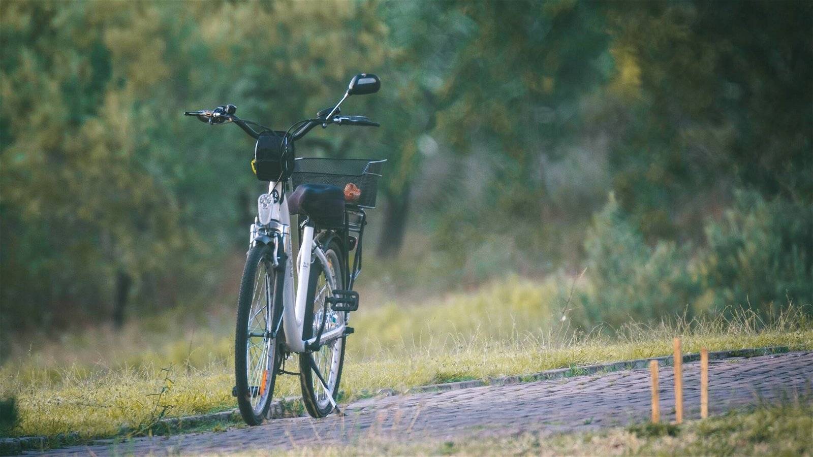 Immagine di Bonus bici: bonifici promessi in 10 giorni, ancora non arrivati