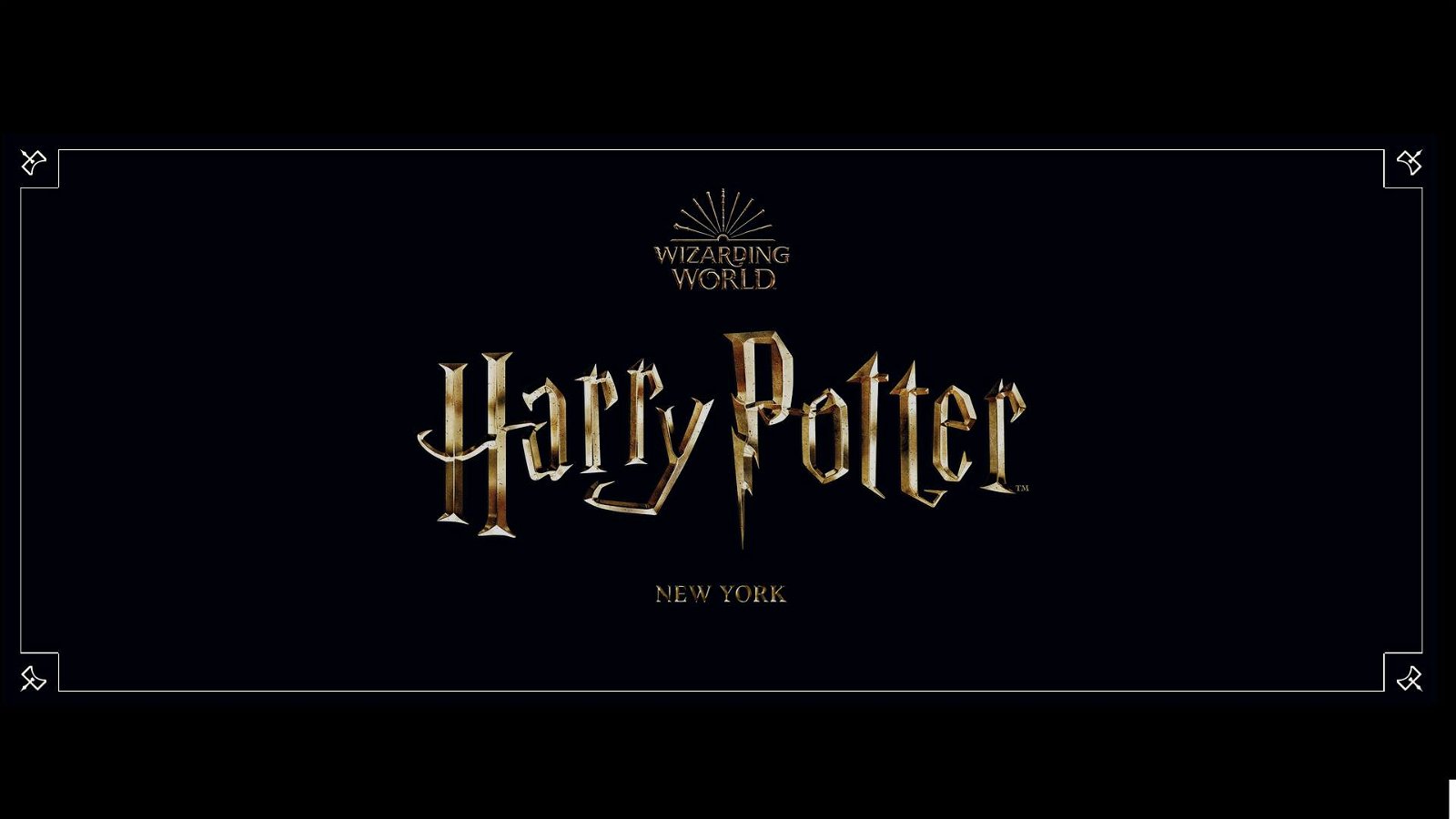 Immagine di Harry Potter New York: apre il negozio online