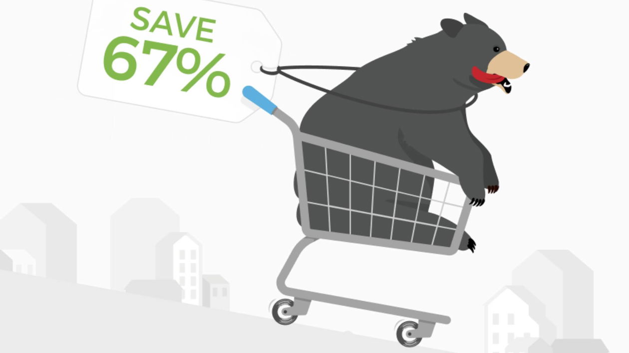 Immagine di 1 anno di protezione a metà prezzo con TunnelBear VPN