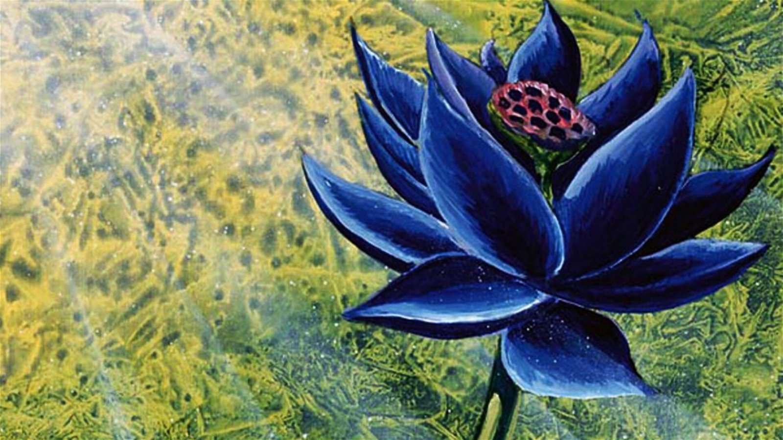 Immagine di Un Black Lotus in condizioni perfette è all'asta su eBay