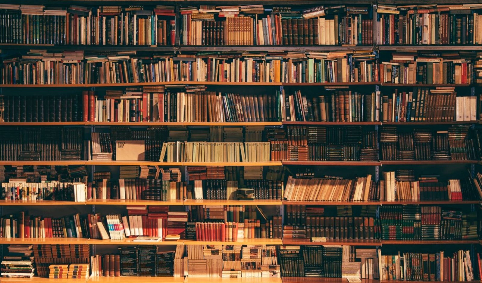 Immagine di La Feltrinelli: migliaia di libri scontati fino al 45%!