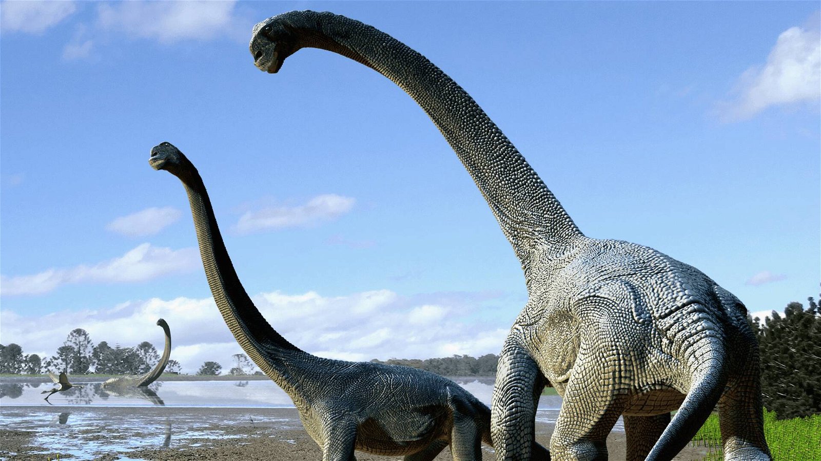 Immagine di Dinosauri: scoperti i fossili del Titanosauro più grande del mondo