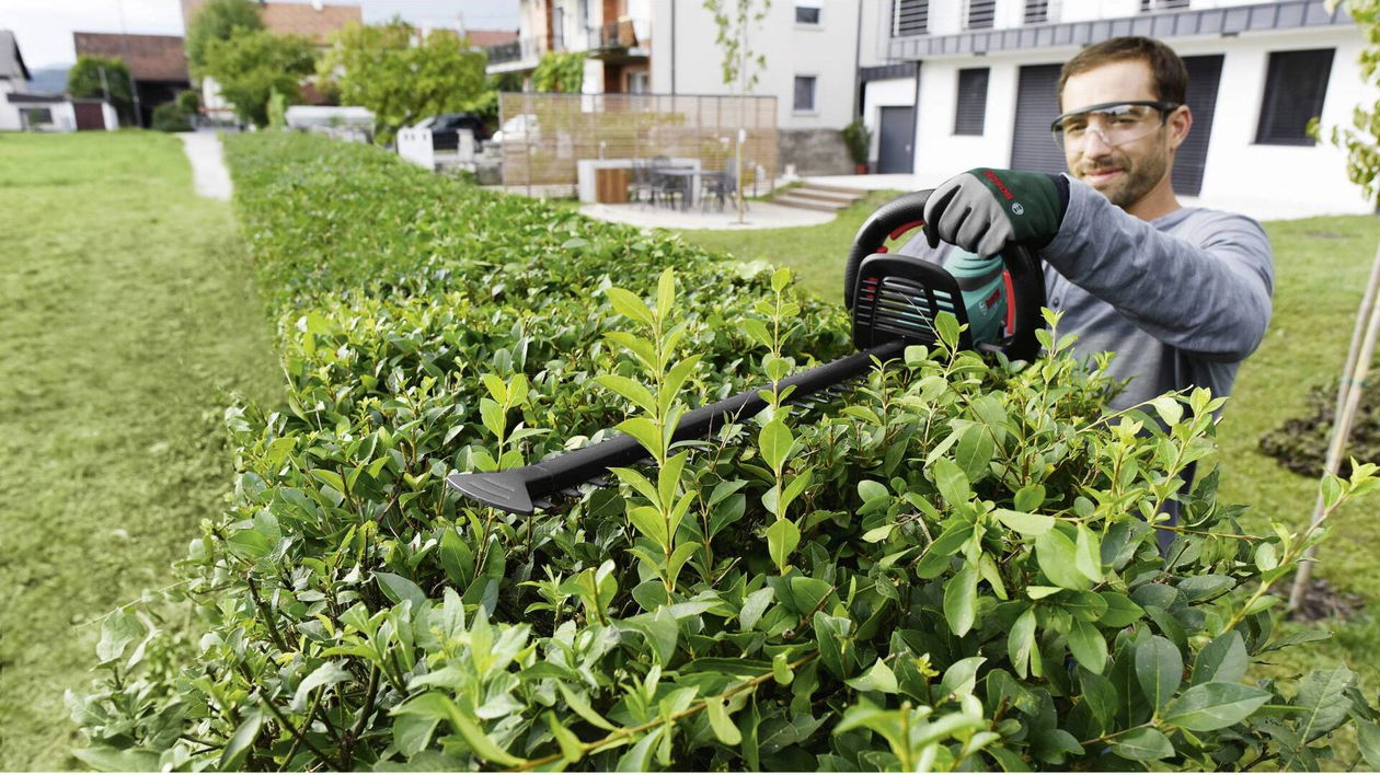 Immagine di Offerte del giorno Amazon: sconti imperdibili sui prodotti Bosch per giardinaggio e fai da te!