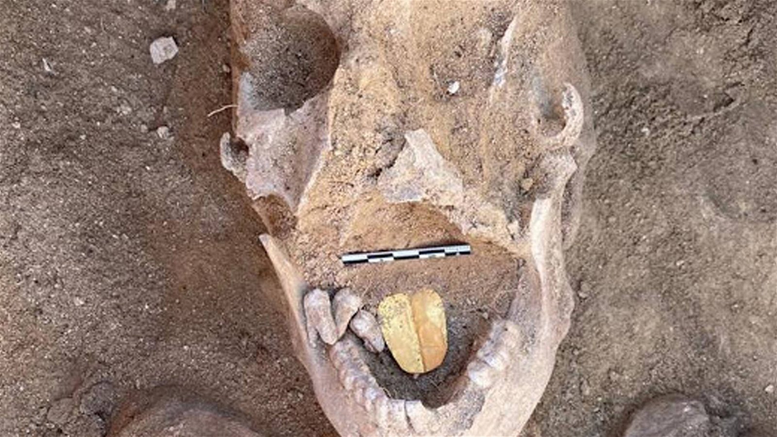Immagine di Scoperte mummie con la lingua d'oro