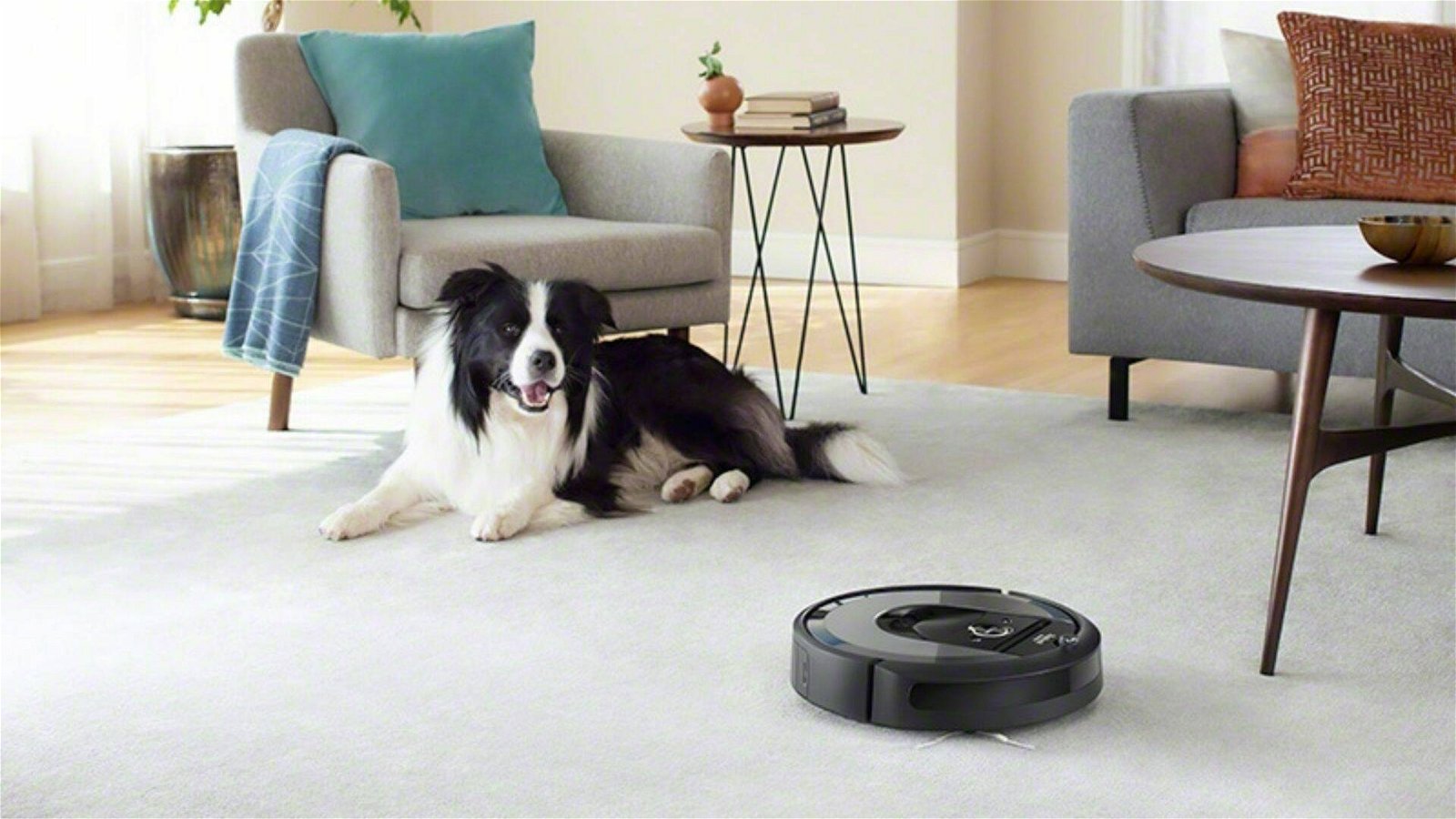 Immagine di Sonos One in regalo acquistando Roomba i7+ o Roomba s9+