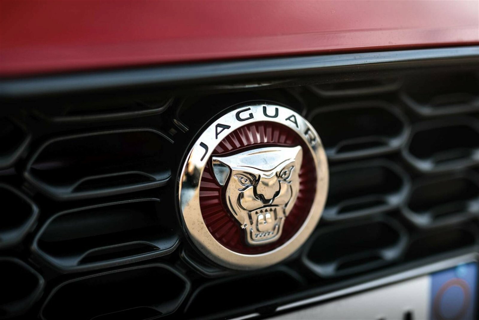 Immagine di Jaguar e Land Rover: entro 5 anni solo auto elettriche