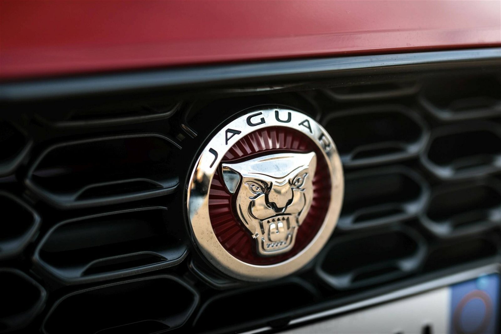 Immagine di Jaguar prepara un'identità nuova per la futura gamma elettrica