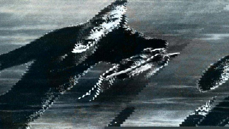 Immagine di King Kong: la nascita del re di Skull Island