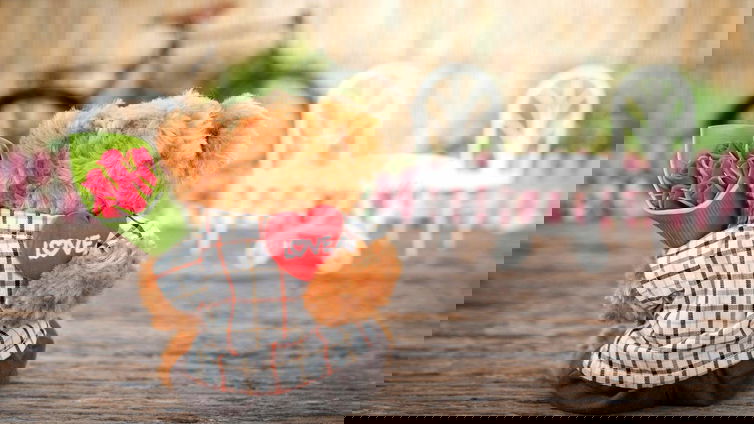 Immagine di San Valentino: tutte le idee regalo presenti su Amazon
