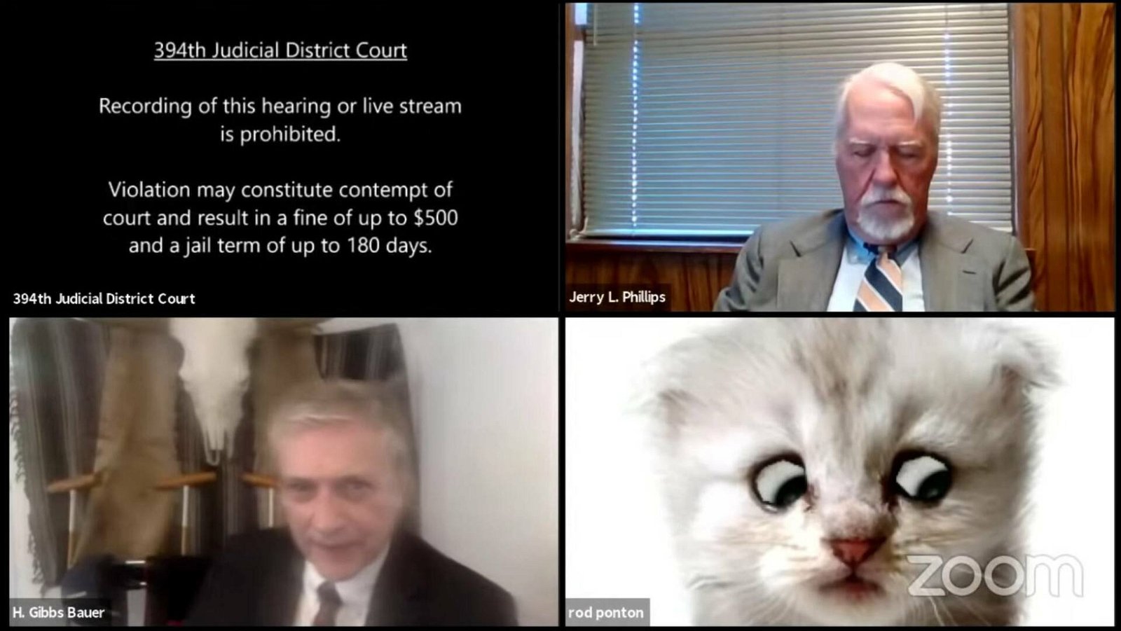 Immagine di Fail su Zoom, l’avvocato diventa un gattino durante un’udienza