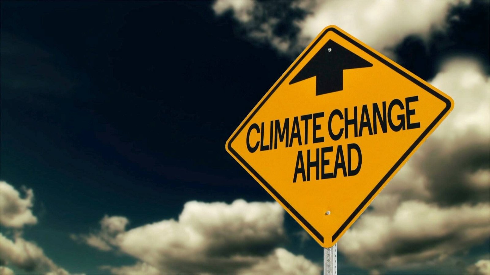 Immagine di Climate Crisis è il nuovo gioco da tavolo dell'autore di Pandemic