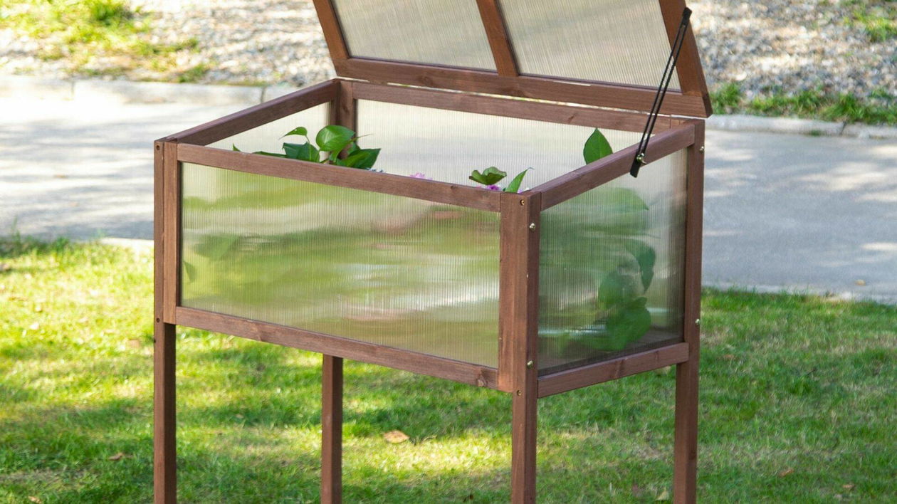 Immagine di Prodotti per il giardinaggio e non solo nelle super offerte di eBay