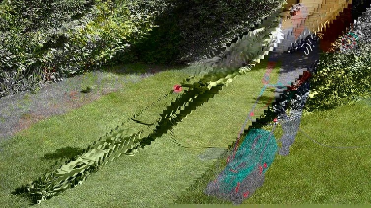 Immagine di Prenditi cura del tuo giardino con le nuove offerte Bosch fino al 34%!