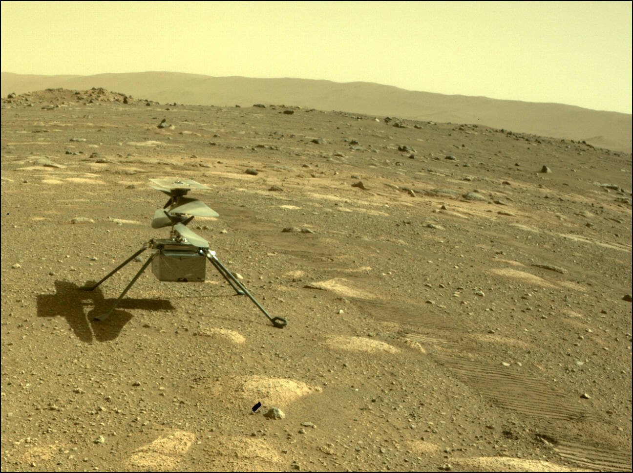 Immagine di Marte, un'anomalia tecnica ha interrotto l'ultimo tentativo di volo dell'elicottero Ingenuity