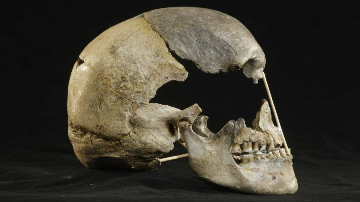Immagine di Scoperto in un cranio il genoma umano moderno più antico di sempre