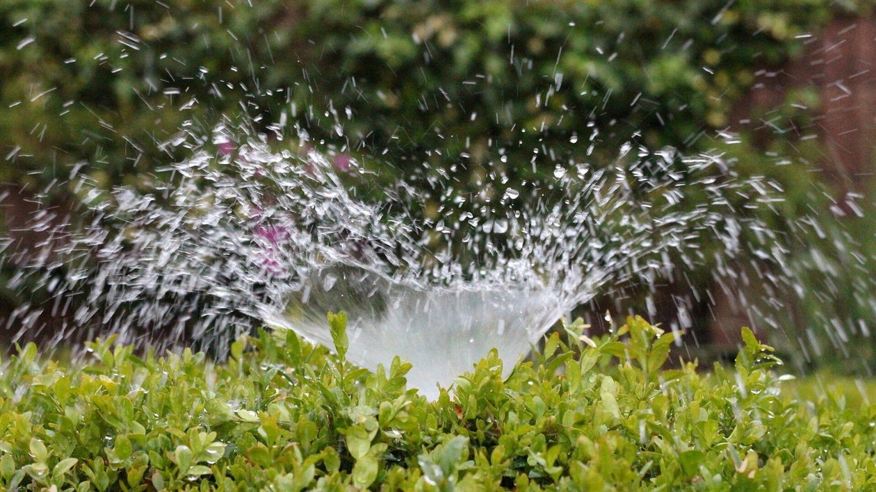 Immagine di Irrigatori da giardino | I migliori del 2023
