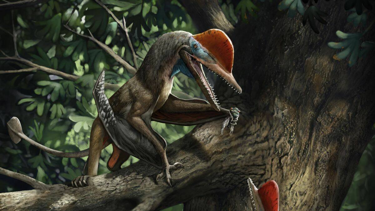 Immagine di Monkeydactyl, uno pterosauro con il pollice opponibile?