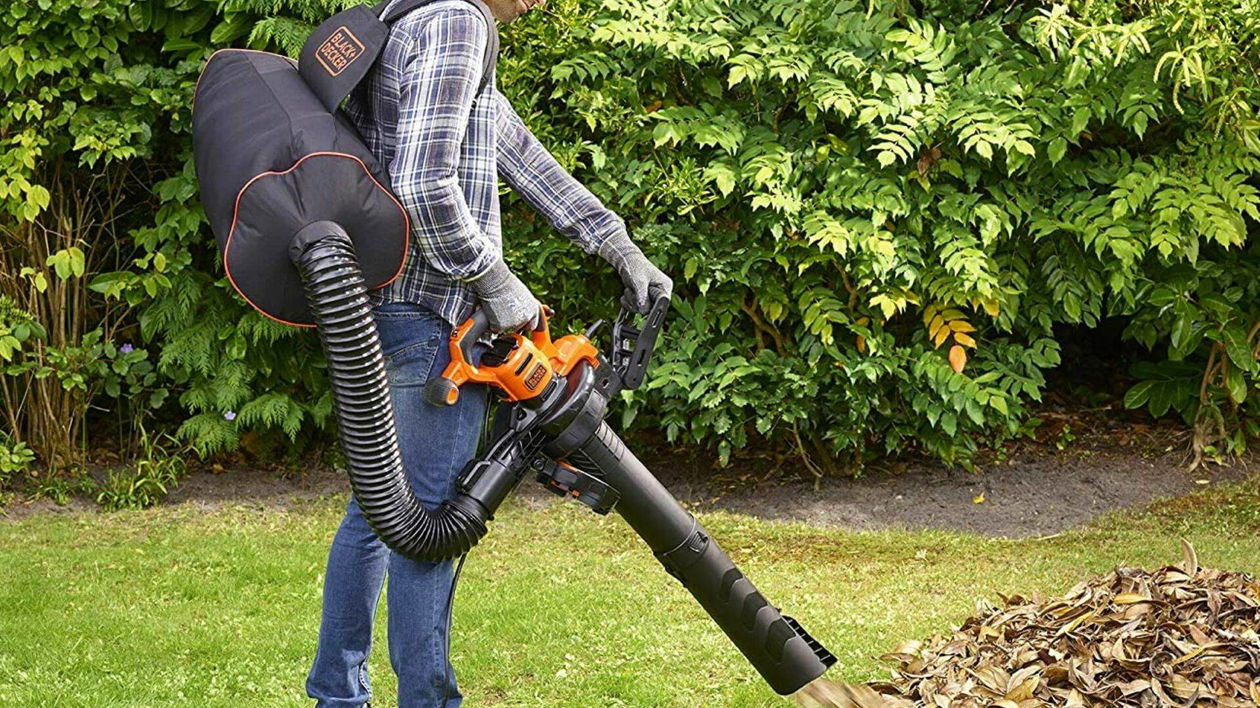 Immagine di Soffiatori | I migliori del 2023