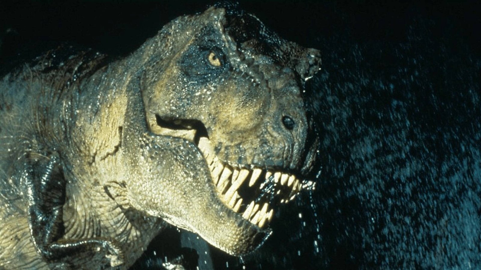 Immagine di Dinosauri: ecco quanti T-Rex sono esistiti