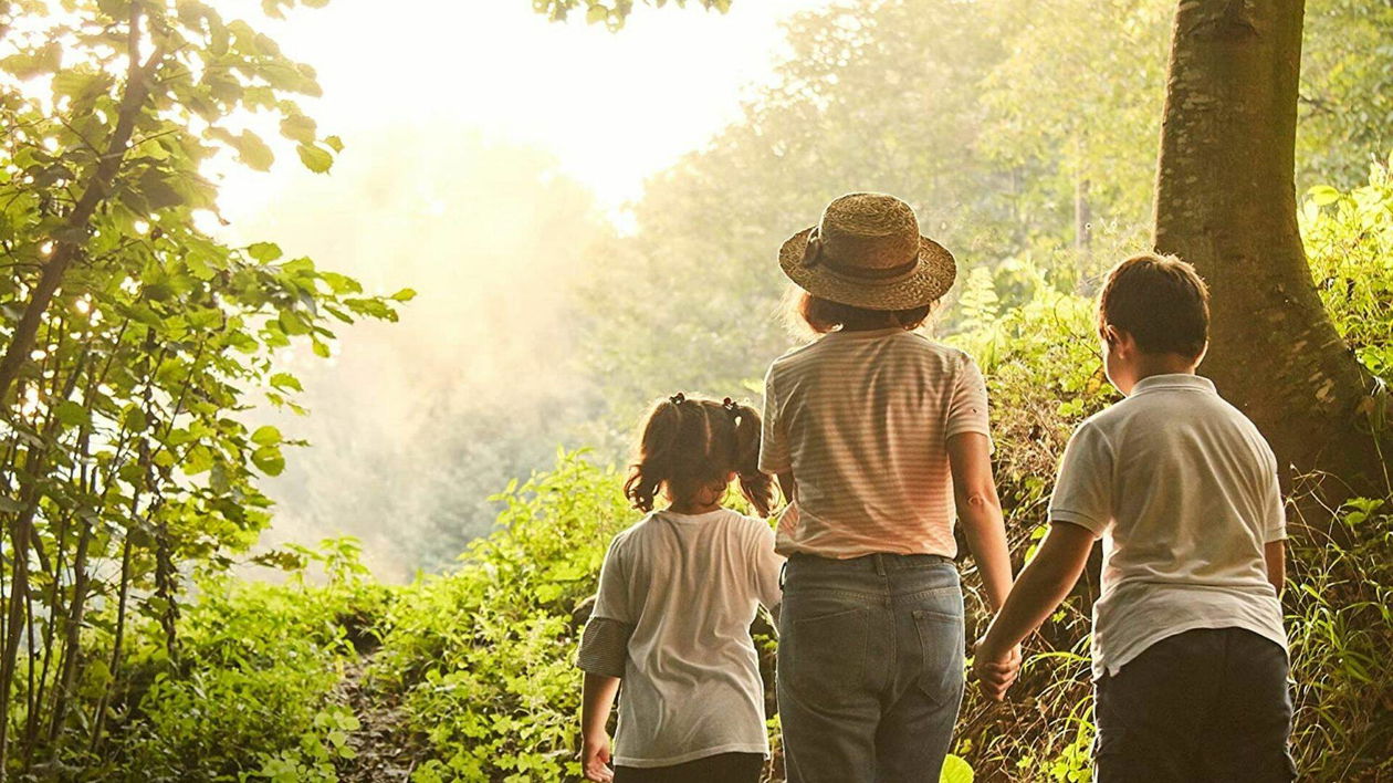 Immagine di Oltre il 40% di sconto su insetticidi e antiparassitari su Amazon