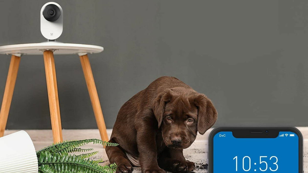 Immagine di Oltre il 40% di sconto sulle telecamere di sicurezza YI