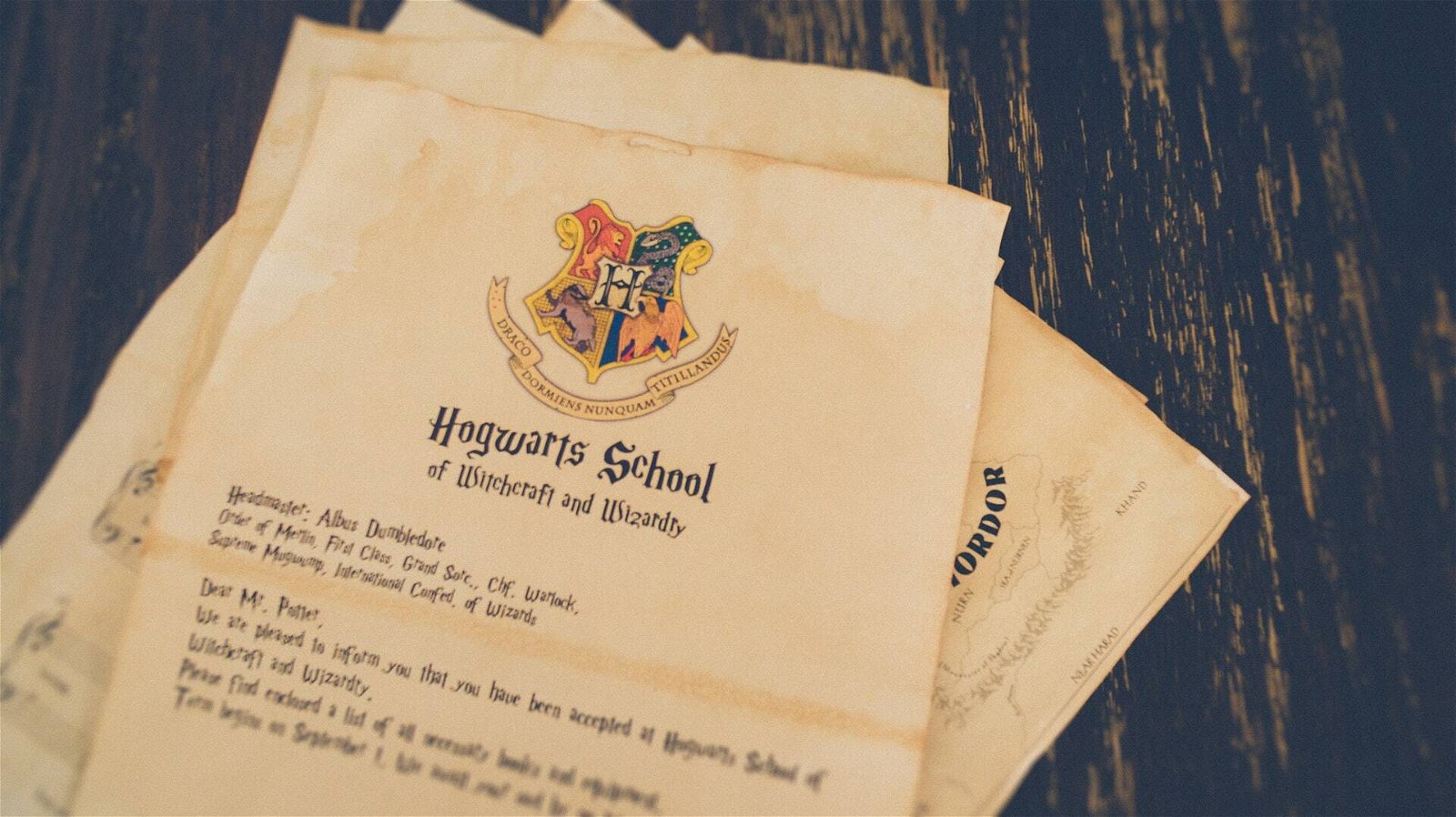Immagine di Libri di Harry Potter e Animali Fantastici | I migliori da regalare