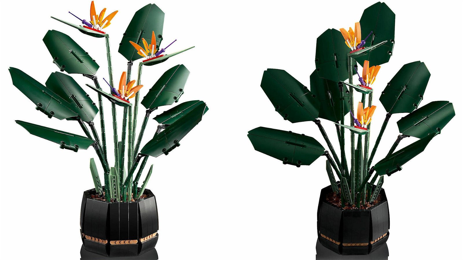 LEGO Botanical: la magia dei mattoncini per creare fiori e piante  ornamentali ecosostenibili