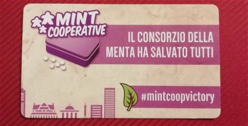 mint-cooperative-163613.jpg