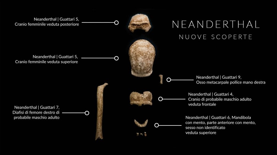 neanderthal-grotta-guattari-161026.jpg