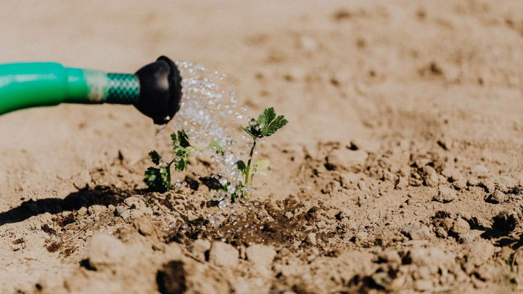 Immagine di Tubi da giardino | I migliori del 2023