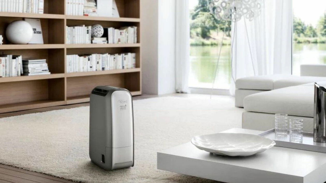 Immagine di Deumidificatore De Longhi Tasciugo AriaDry scontato di oltre 150€ su eBay