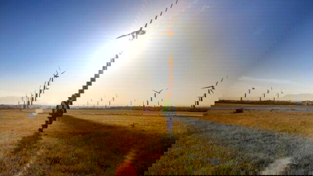 Immagine di Oracle, più successo per la sostenibilità aziendale con le soluzioni AI