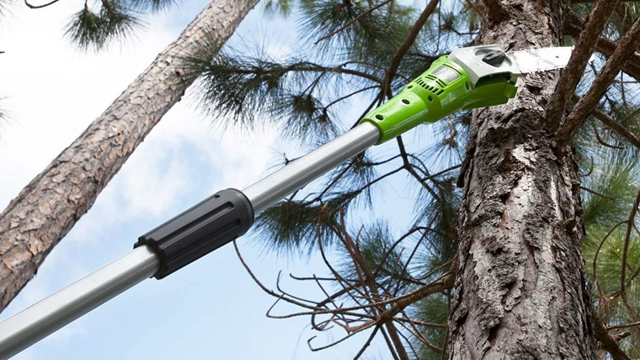 Immagine di Offerte del giorno Amazon: sconti imperdibili su prodotti per il giardinaggio!