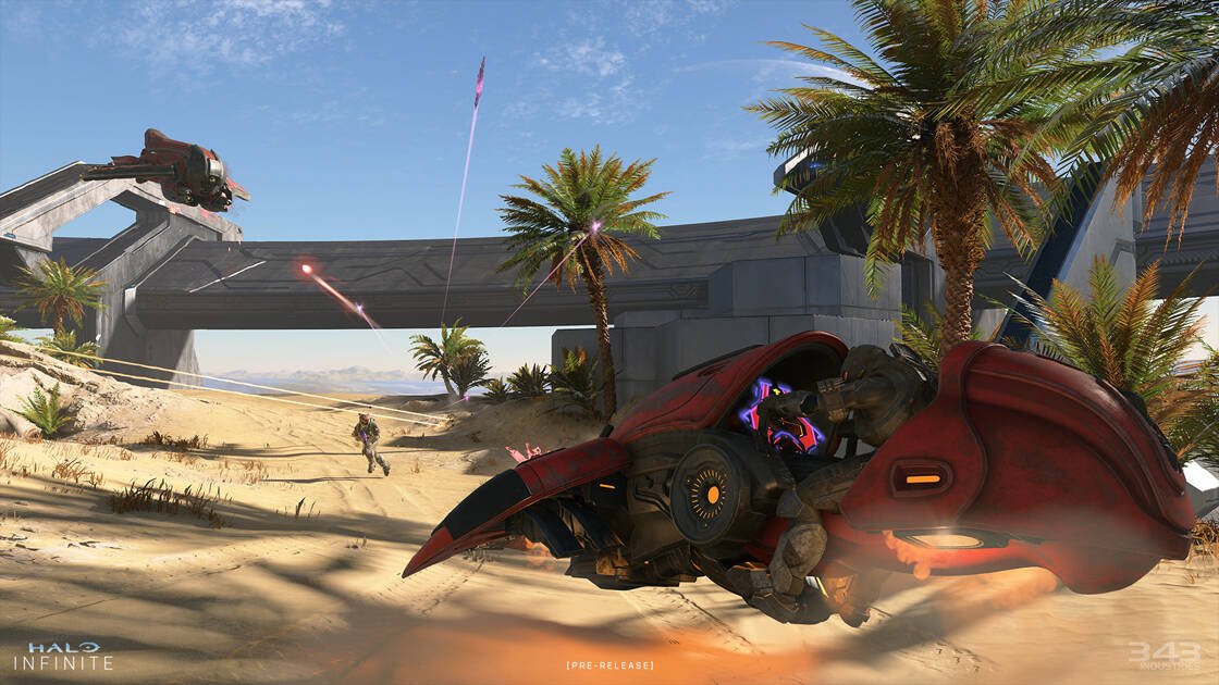Immagine di Halo Infinite: il supporto è un flop clamoroso, il gioco è fuori dalla top 100 di steam