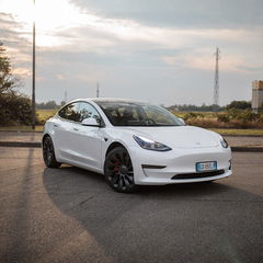 Immagine di Tesla Model 3 Performance