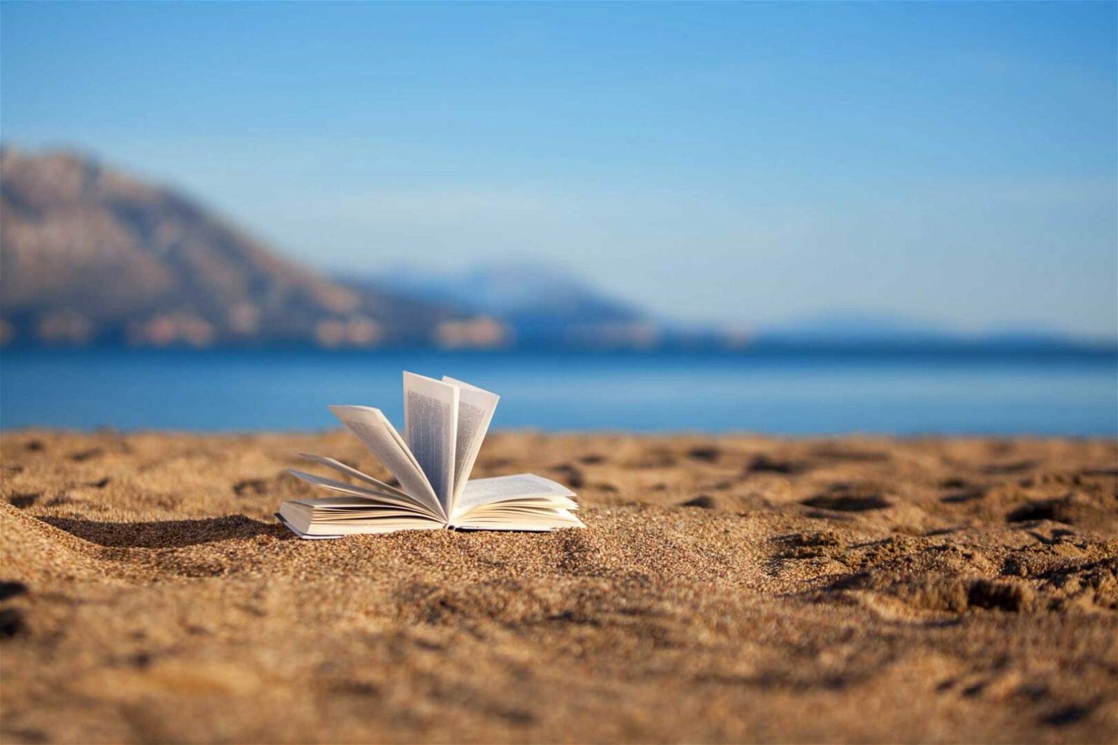 Immagine di Prime Day: i libri da leggere in spiaggia