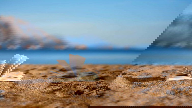 Immagine di Prime Day: i libri da leggere in spiaggia