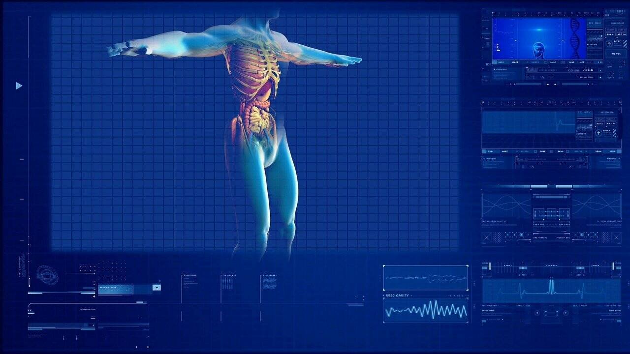 Immagine di Un team dell'istituto Wake Forest stampa in 3D il tessuto epatico umano