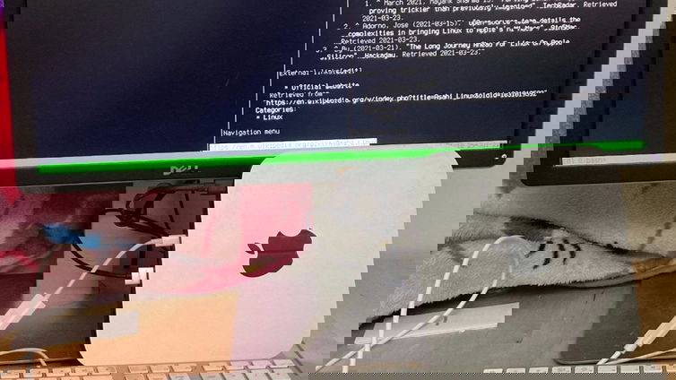Immagine di Debian GNU/Linux è eseguibile sul chip M1 di Apple: si avvicina l'inizio di una nuova era