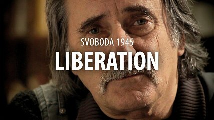 Immagine di Svoboda 1945: Liberation - PC