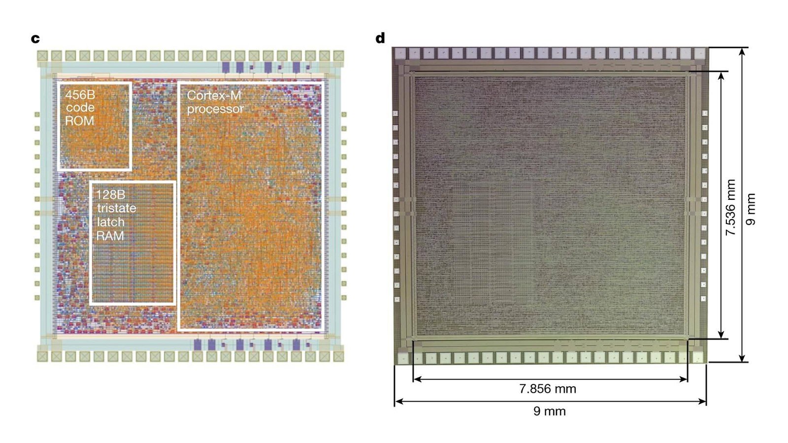 Immagine di Questo microprocessore Arm usa la plastica al posto del silicio