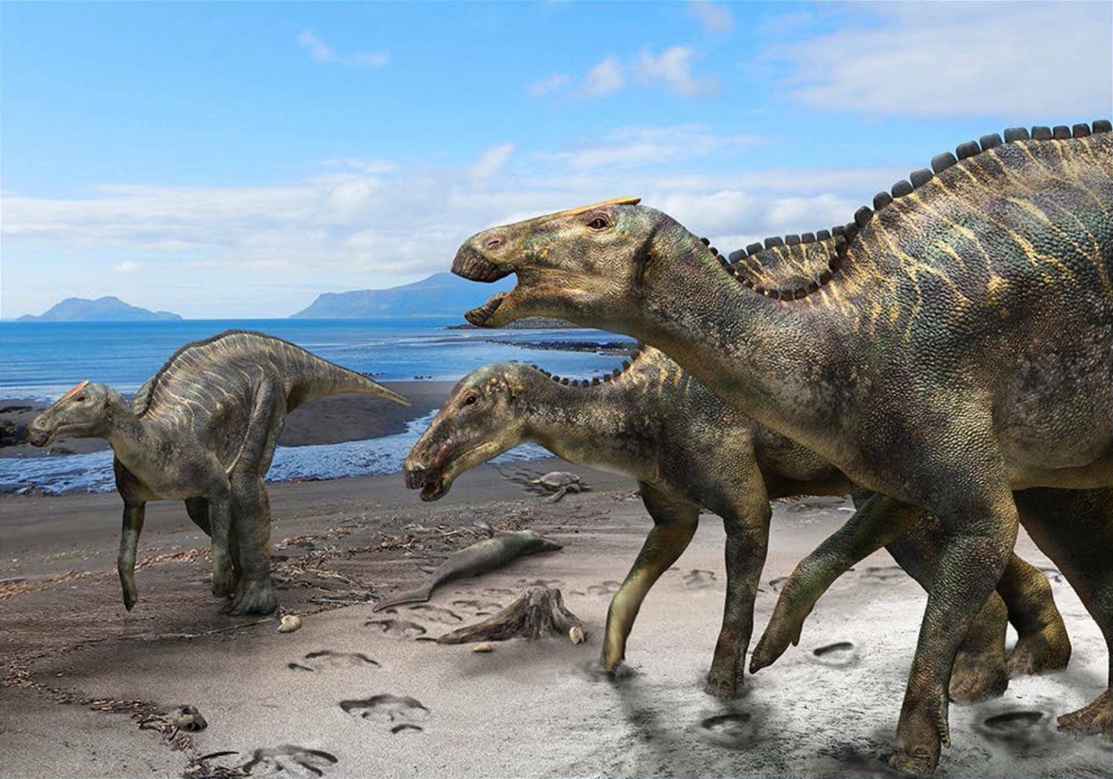 Immagine di Nuovi dinosauri catalogati negli Stati Uniti Orientali