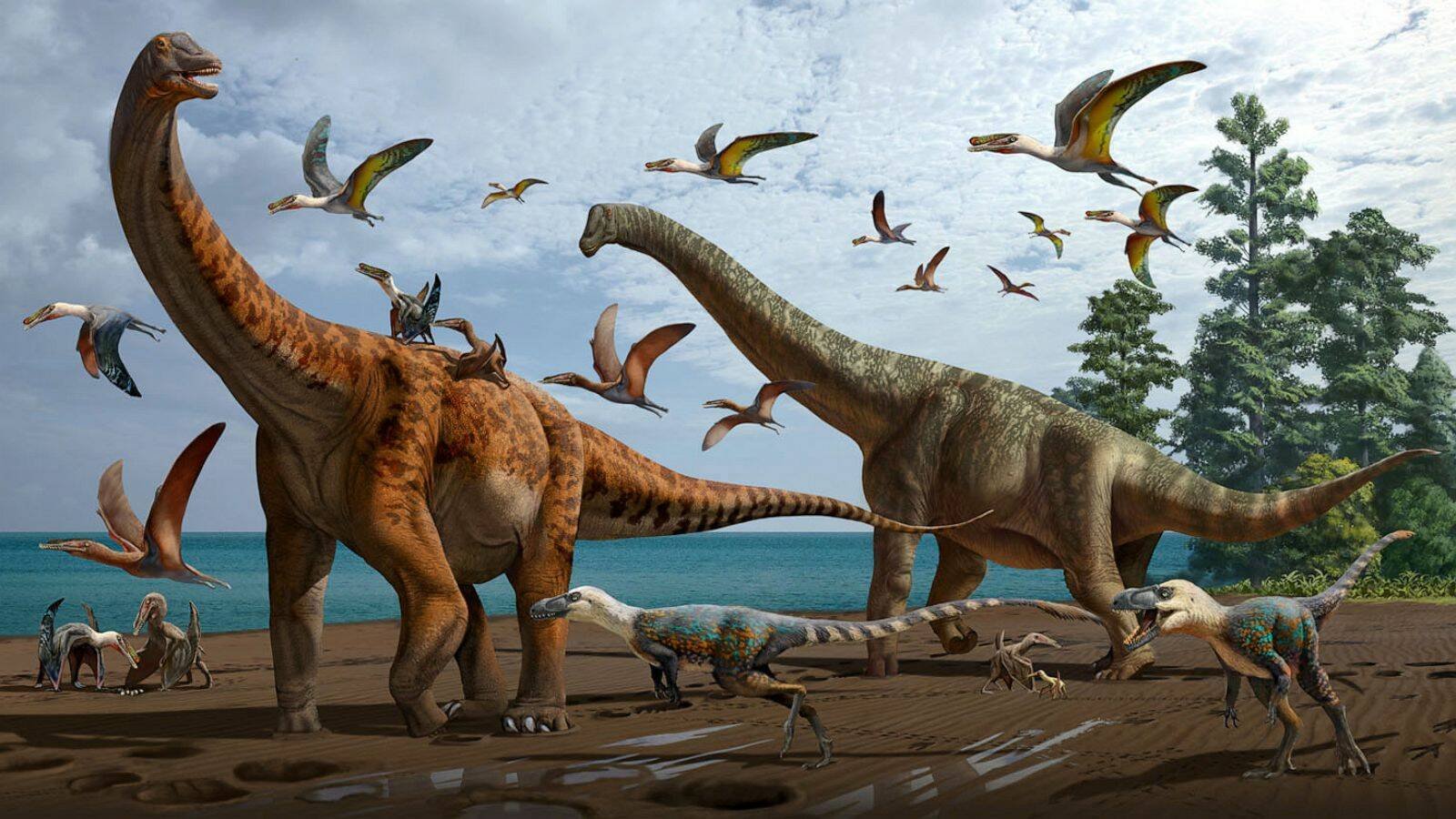 Immagine di Nuove specie di sauropodi sono state rinvenute nel nord ovest della Cina