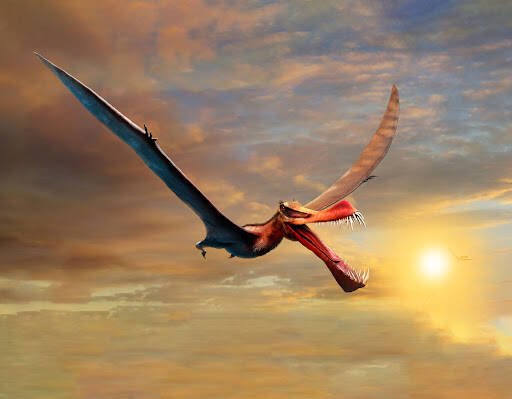 Immagine di Scoperto in Australia uno pterosauro simile a un drago